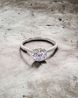 Paris WG engagement ring setting in 14K white gold, cathedral shared prong – Cherry Pick Diamonds Clayton St. Louis MO
