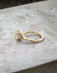 Valletta yellow gold hidden halo solitaire setting with natural diamond – Cherry Pick Diamonds St. Louis MO
